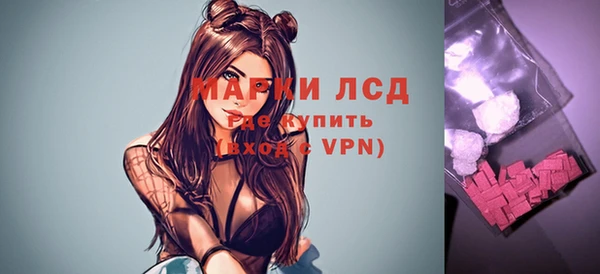 прущие грибы Абинск