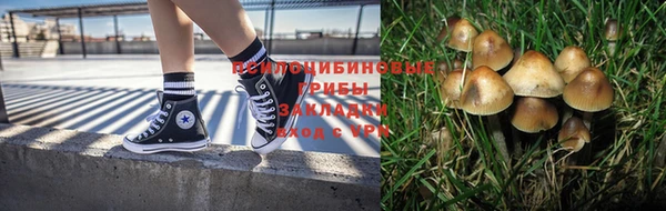 бошки Алексин