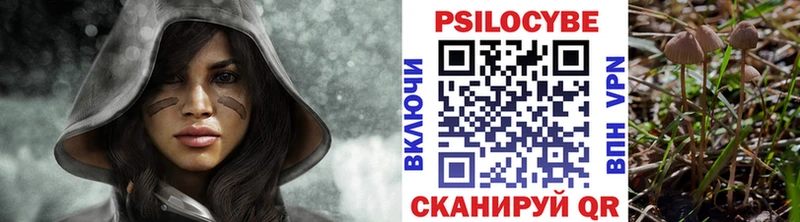 Галлюциногенные грибы прущие грибы  KRAKEN ТОР  Тамбов 