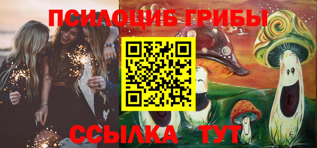 Тамбов  Галлюциногенные грибы мухоморы  Вход с VPN 