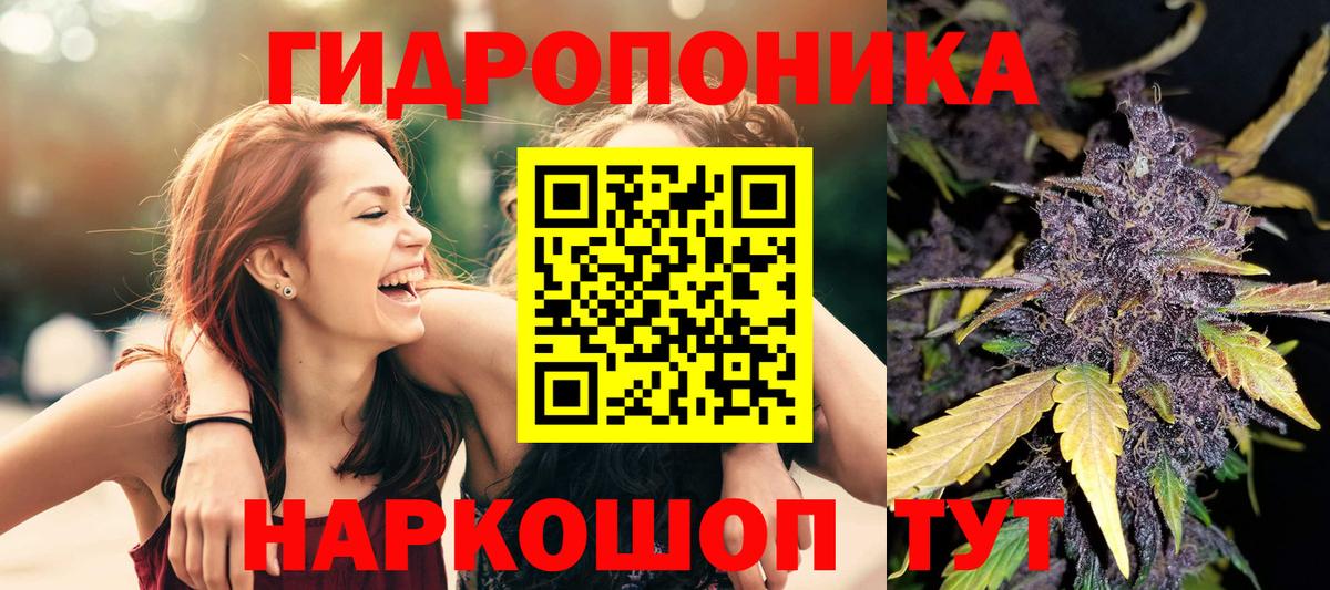 Конопля план Тамбов